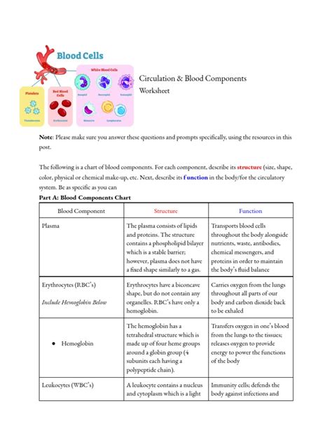 Image result for Components of Blood Worksheet Answers PDF