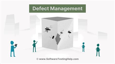 Image result for Defect Management in Software Testing