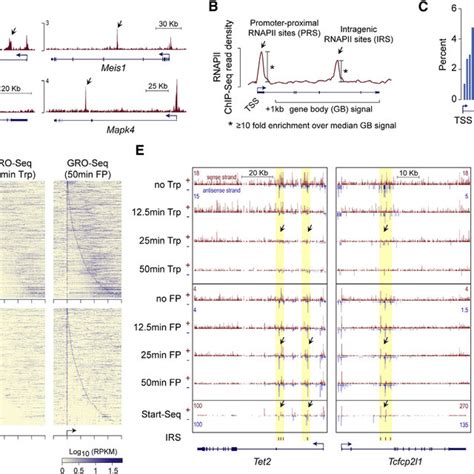 Image result for RNA Pol II ChIP-seq