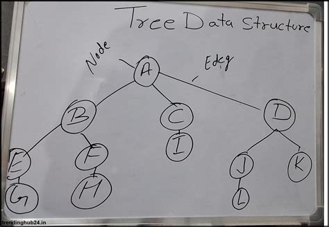 Image result for Tree Graph Data Structure