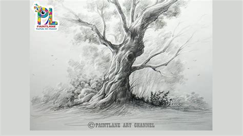 Realistic Tree Trunk Drawing に対する画像結果