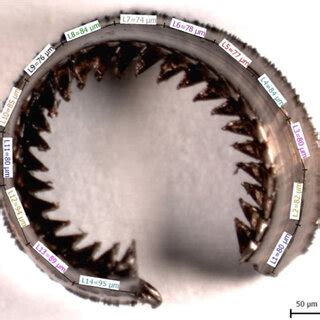 Image result for Source Chip Image Cut Off