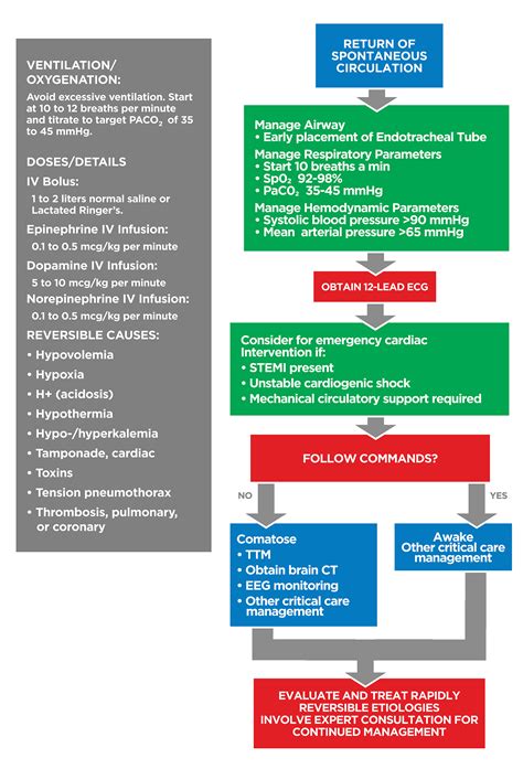 Image result for ACLS Cardiac Arrest Algorithm