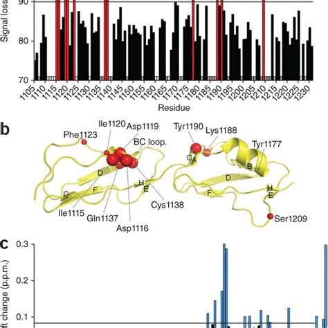 Afbeeldingsresultaten voor C3dg Complement