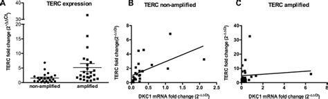Terc Gene Coding Region-साठीचा प्रतिमा निकाल