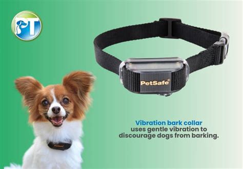 Image result for How to Use a Bark Collar for Dogs