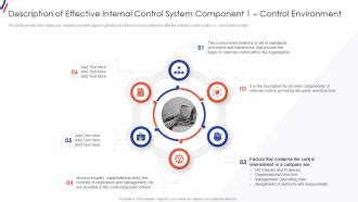 Flowchart Internal Control System に対する画像結果