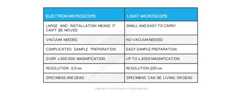 Light Microscope vs Electron Microscope Cells に対する画像結果
