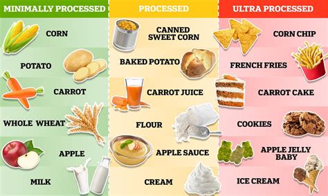 Image result for How Food Is Produced
