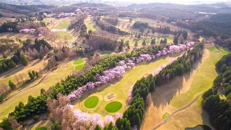 Image result for Japan Golf Lesson