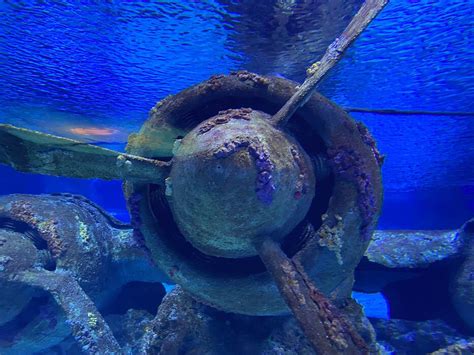 Toradh íomhá ar Super Small Seaplane