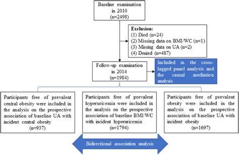 Statistical Model Selection Flowchart に対する画像結果