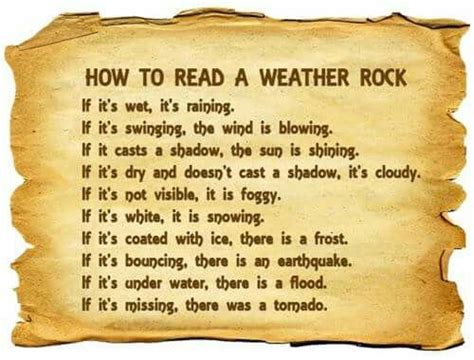 Image result for How to Make a Weather Rock