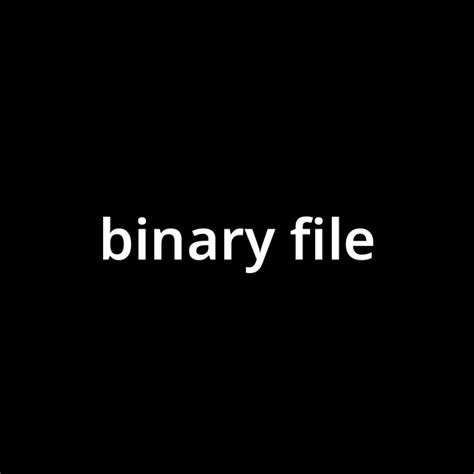 Binary Object File に対する画像結果
