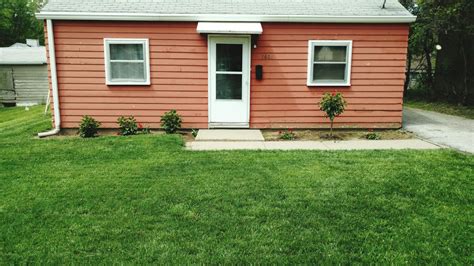 Image result for How to Identify Lawn Problems