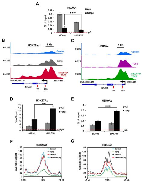 ChIP-seq HDAC1 に対する画像結果