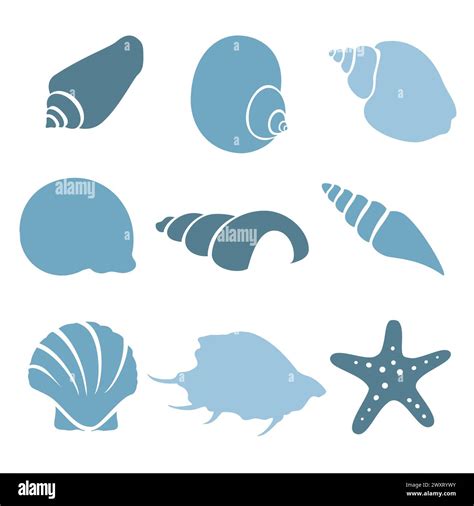Image result for Blue Sea Shell Vector