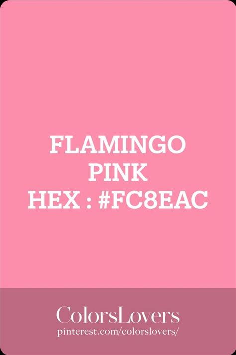 Image result for Flamingo Pink HTML Code