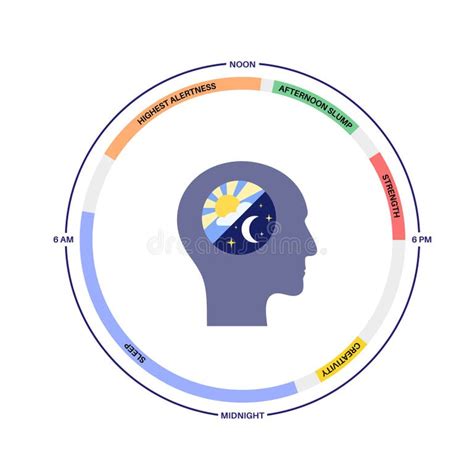 Visual Representation of the Sleep Cycle に対する画像結果