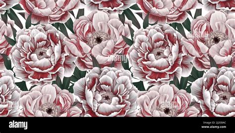 Toradh íomhá ar Lush Spring Drawing