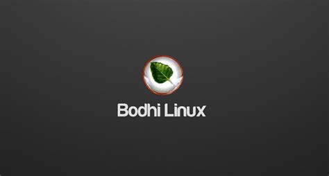 Toradh íomhá ar Bodhi Linux