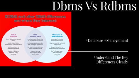What Is Difference Between DBMS and Database に対する画像結果