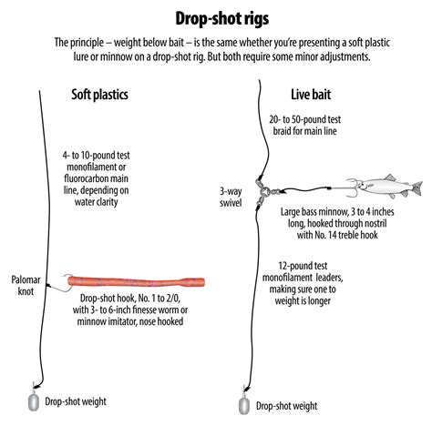 Image result for How to Rig a Drop Shot Bait