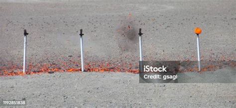 Bird Exploding に対する画像結果