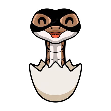 Python Library Icon Egg に対する画像結果