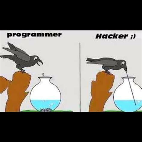 Toradh íomhá ar Programmer vs Hacker