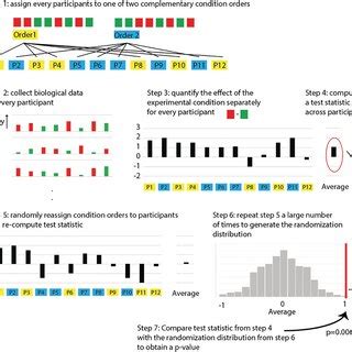 Toradh íomhá ar Fiber Randomization Test-Related