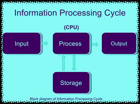 Image result for Computer Process the Information Meaning