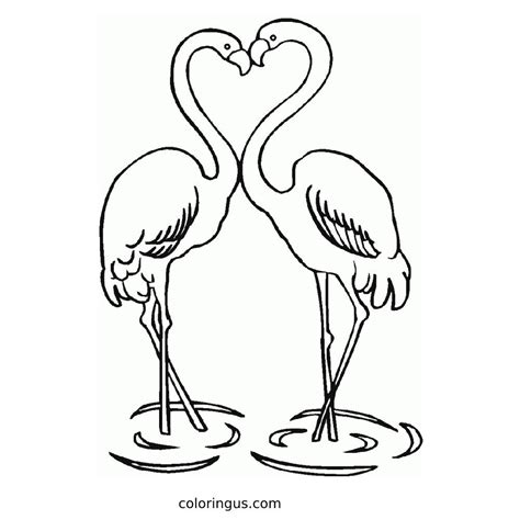 Image result for Flamingo Print Color