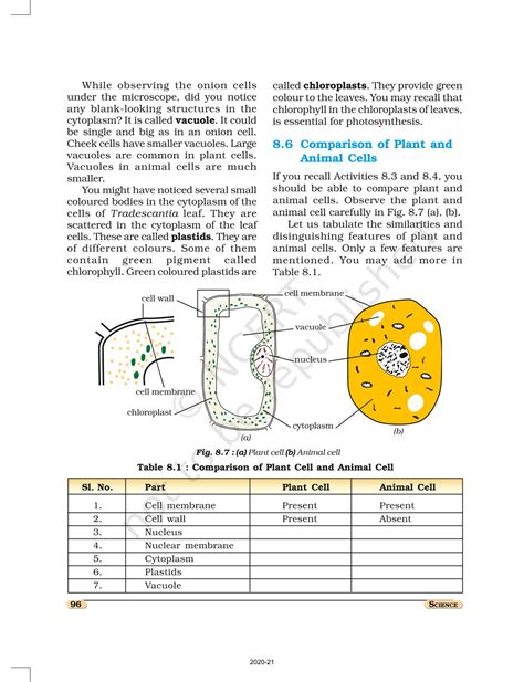 Afbeeldingsresultaten voor Cell Structure and Function Textbook