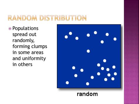 Random Distribution Alevel に対する画像結果