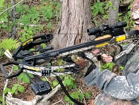 Image result for Crossbar Guillotine