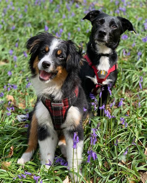 Image result for Difference Between Dynamic and Static Graph