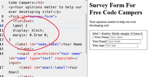 Image result for Freecodecamp Survey Form