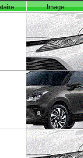 Image result for DataGridView Style