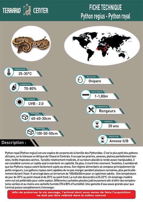 Image result for Python Regius Ivory