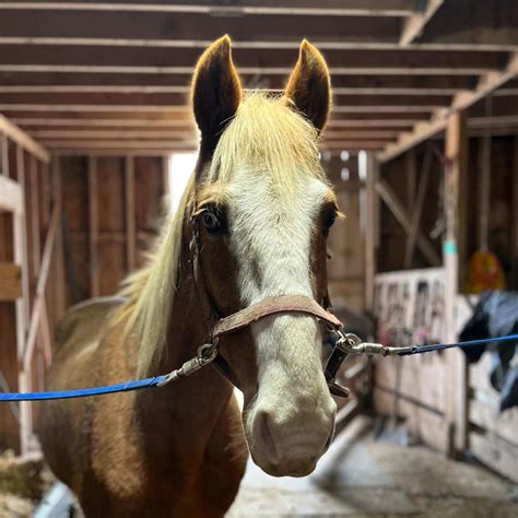 Image result for Facebook Loading Interface Image