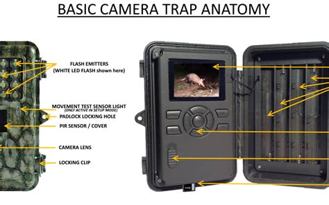 Camera Trap Data Sheet Example に対する画像結果