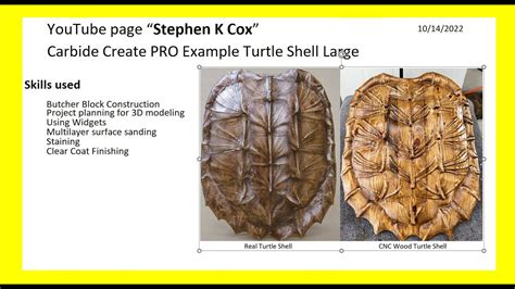 Afbeeldingsresultaten voor Drawing of Alligator Snapping Turtle Shell