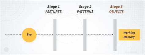 Afbeeldingsresultaten voor Model of Visual Processing