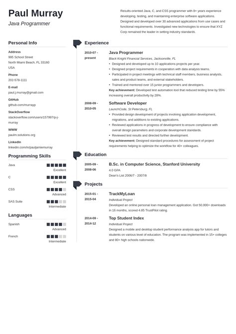 Image result for CV Programmer Template