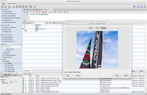 Image result for MySQL Developer Interface Query Processor