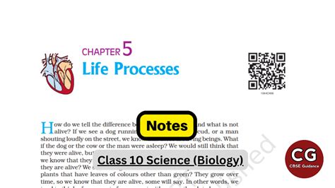 Toradh íomhá ar Class 10 Science Life Process Working of Heart Note Sheet
