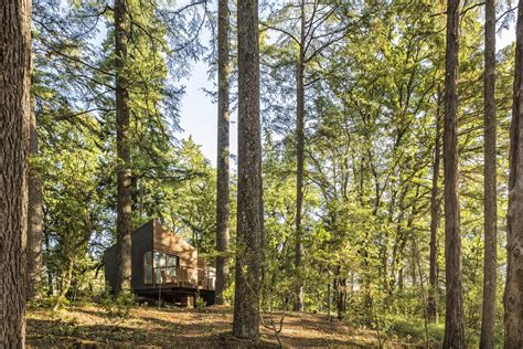 Modular Tree Structure に対する画像結果