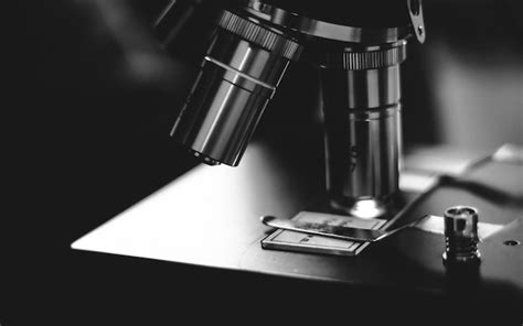 Close Up of Microscope Slide に対する画像結果