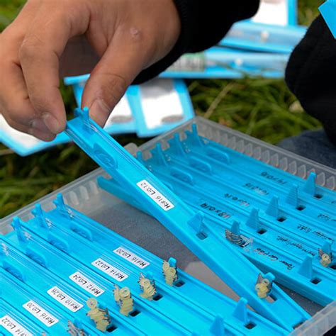 Image result for Crest Modular Machine